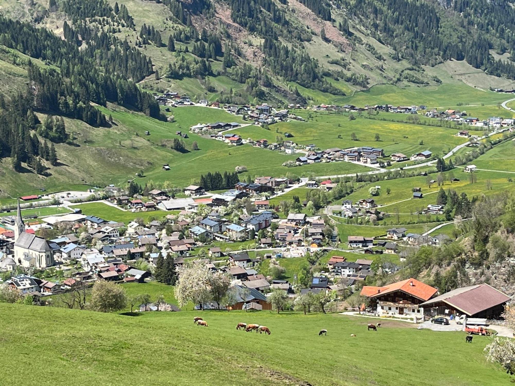 Apartament Langrieshof Rauris